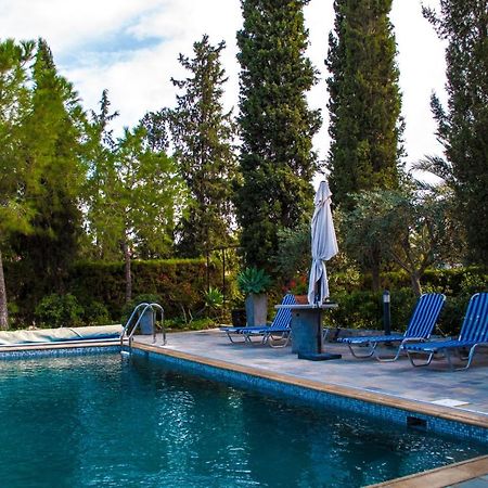 Idyllic Studio With Private Pool Никосия Экстерьер фото
