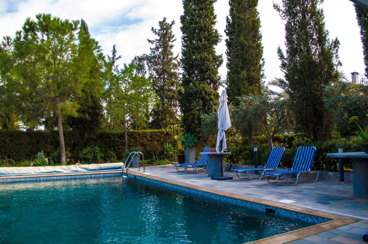 Idyllic Studio With Private Pool Никосия Экстерьер фото